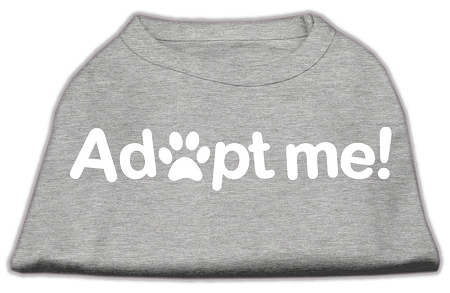 Adopt Me Screen Print Shirt Grey XS